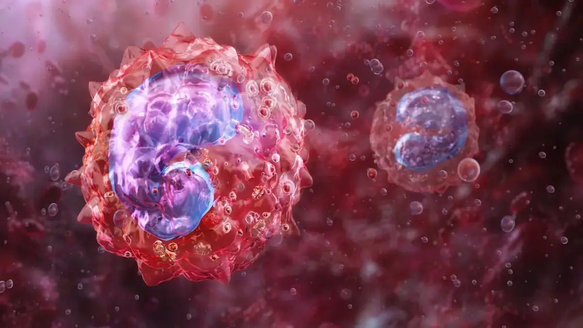 3D‑Darstellung aktivierter Immunzellen in rot gefärbter Mikroumgebung – Symbolbild für kardiale Makrophagen und angeborene Immunantwort