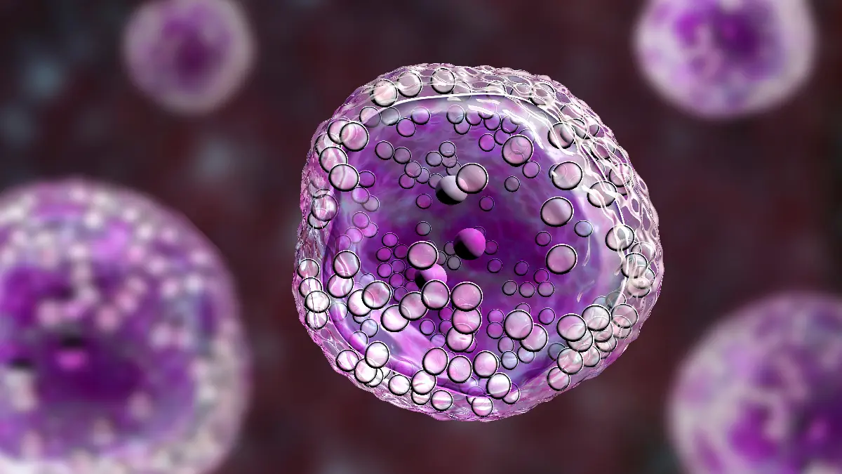 3D‑Darstellung einer violetten Zelle mit Bläschenstruktur im Hintergrund weiterer Zellen