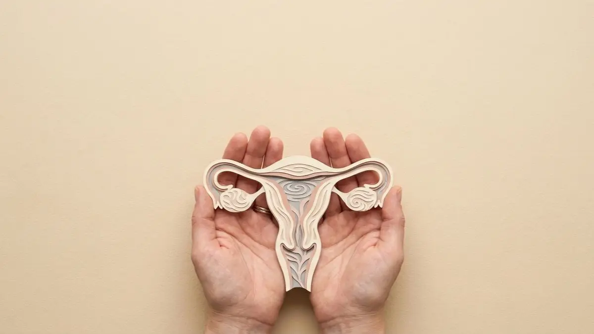 Haende halten ein stilisiertes Uterusmodell als Symbol fuer Verhuetung und Risikoabwaegung in der Perimenopause
