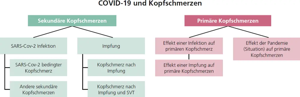 Abb. 1: Einordnung von COVID-19 assoziierten Kopfschmerzen; mod. nach [2].