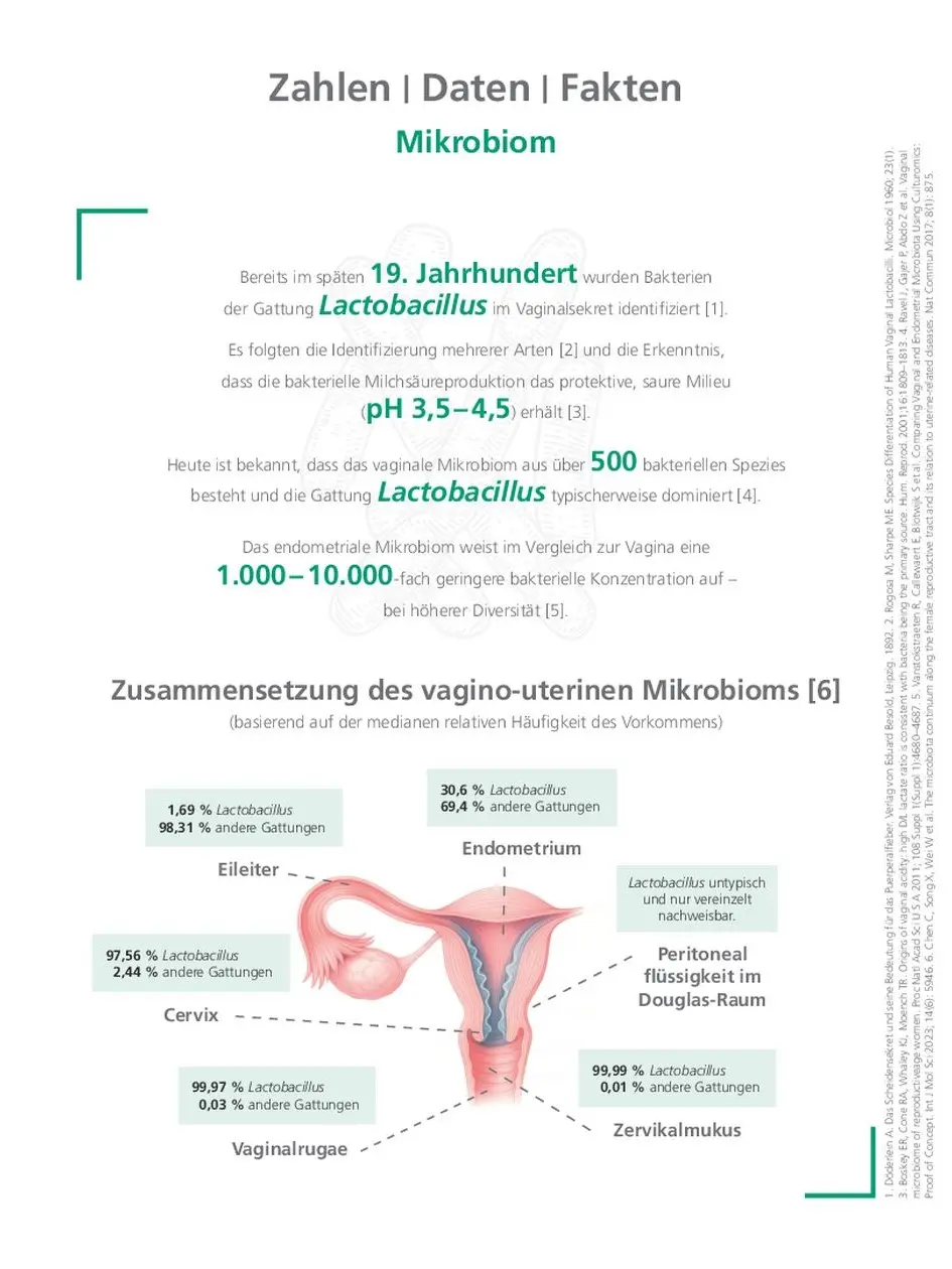Das vagino-uterine Mikrobiom