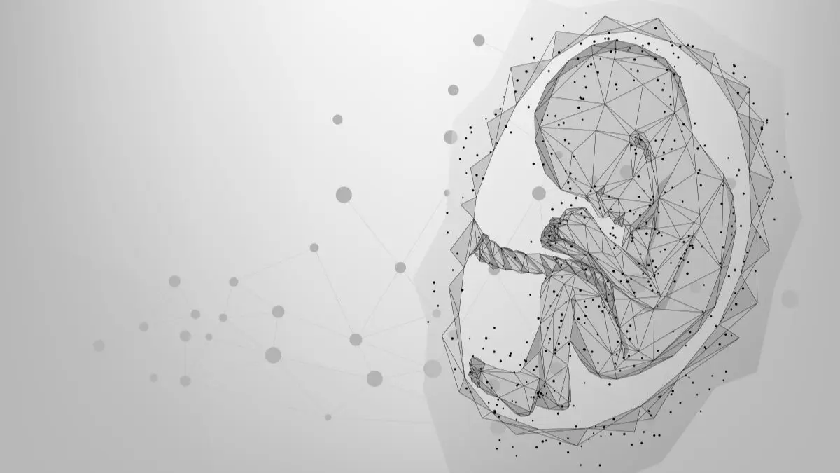 Abstrakte Polygon Grafik einer schwangeren Frau mit Babybauch als Symbol dafuer, dass NAD plus in der Plazenta den Geburtsbeginn beeinflusst