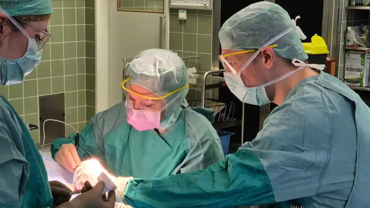 Konzentration am OP-Tisch: Die Implantation eines ABI gehört zu den anspruchsvollsten Eingriffen in der Hörrehabilitation.