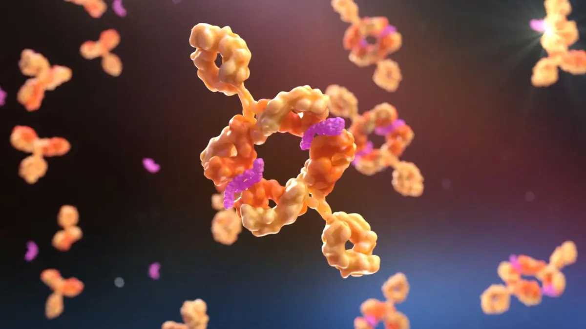 3D-Illustration mehrerer Antikoerpermolekuele als Symbolbild fuer den Antikoerper Visugromab und kombinierte GDF-15-Blockade mit PD-1-Immuntherapie