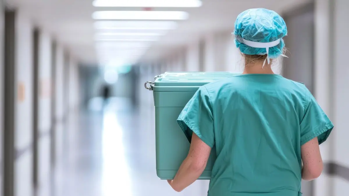 OP Pflegekraft traegt eine gruene Transportbox fuer Spenderorgane durch den Krankenhausflur als Symbol fuer die von der Bundesaerztekammer geforderte Widerspruchsloesung gegen den Mangel an Spenderorganen