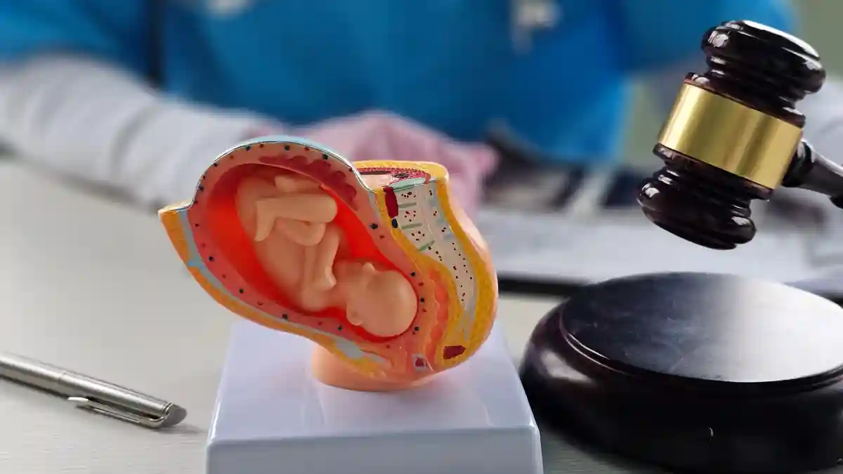 Auf dem Bild ist ein anatomisches Modell einer Gebärmutter mit einem Fetus im Inneren abgebildet, daneben ist ein Richterhammer und im Hintergrund sitzt ein medizinischer Angestellter.