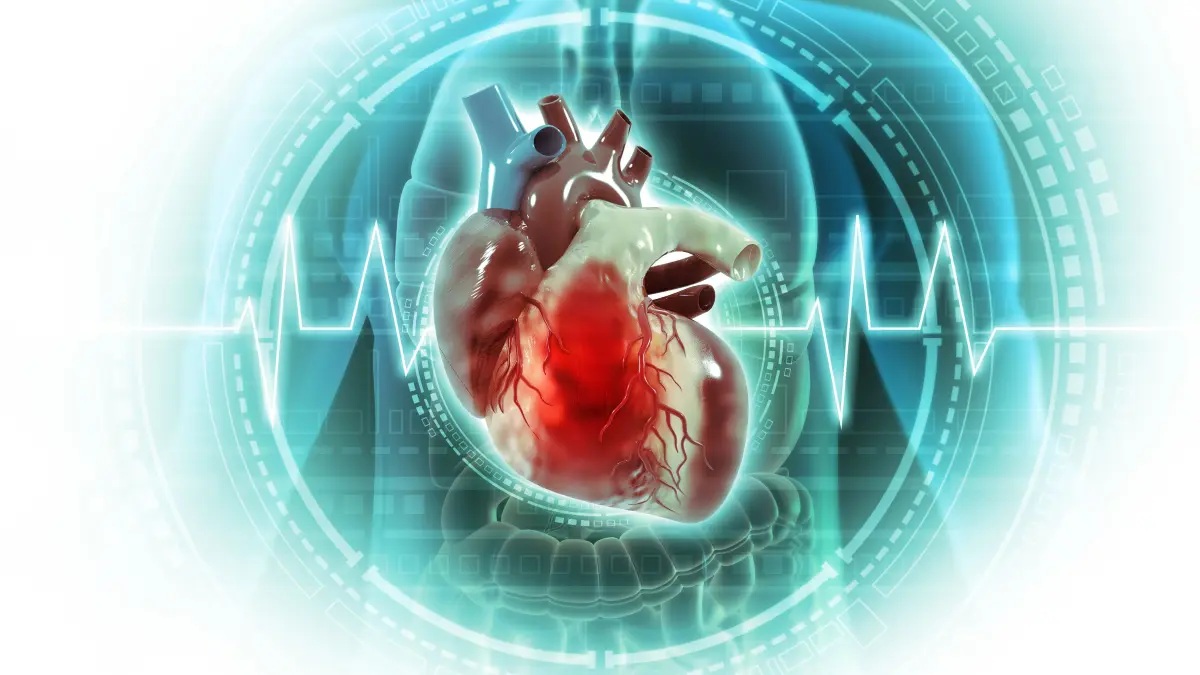 3D-Illustration eines menschlichen Herzens mit EKG-Kurve und digitaler Überwachungsgrafik als Symbol für Herzinsuffizienz und das Risiko des plötzlichen Herztods