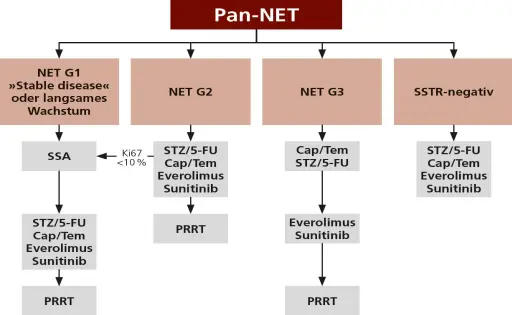 Therapiealgorithmus fuer pankreatische neuroendokrine Tumoren Pan-NET mit SSA, Chemotherapie, PRRT, Everolimus und Sunitinib