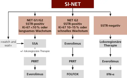 Therapiealgorithmus fuer intestinale neuroendokrine Tumoren SI-NET mit SSA, PRRT, Everolimus und Chemotherapie