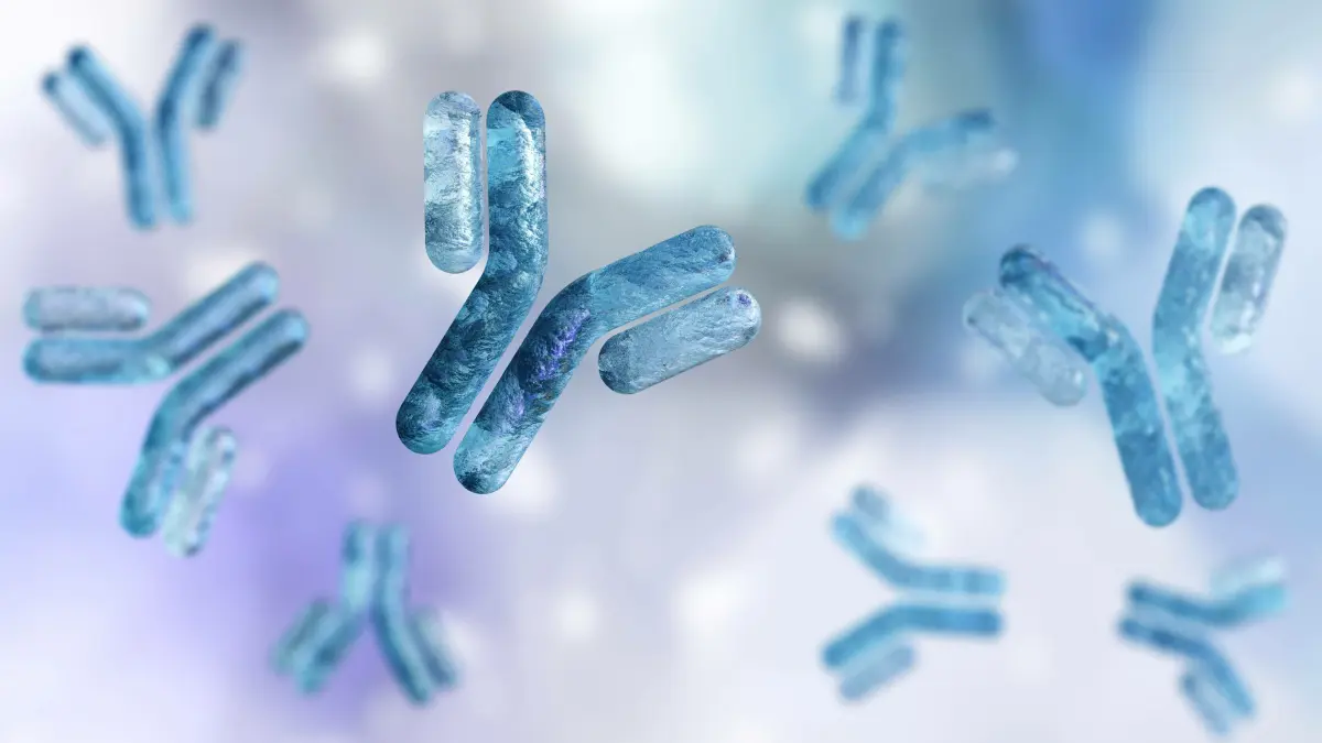 3D-Illustration von Antikörpern in Blautönen – symbolisiert den Einsatz von PCSK9-Antikörpern bei ASCVD