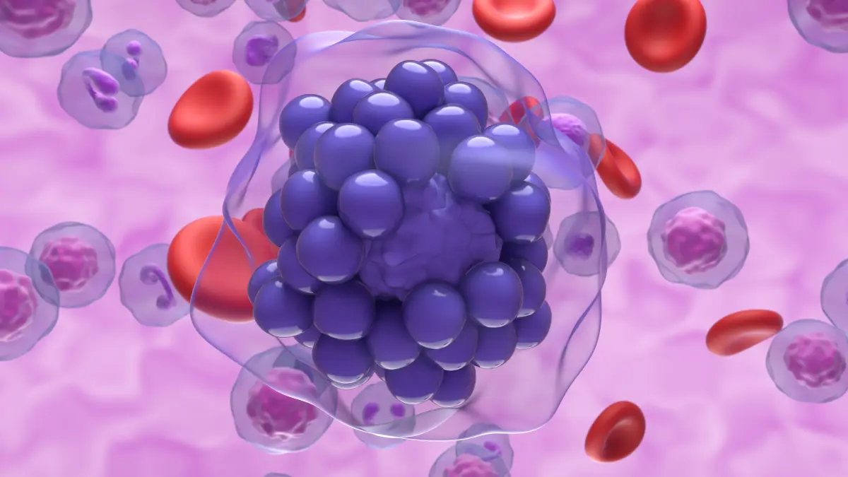3D-Illustration eines Zellclusters im Blutstrom als Symbolbild fuer rezidiviertes refraktaeres B-Zell-Lymphom RR LBCL