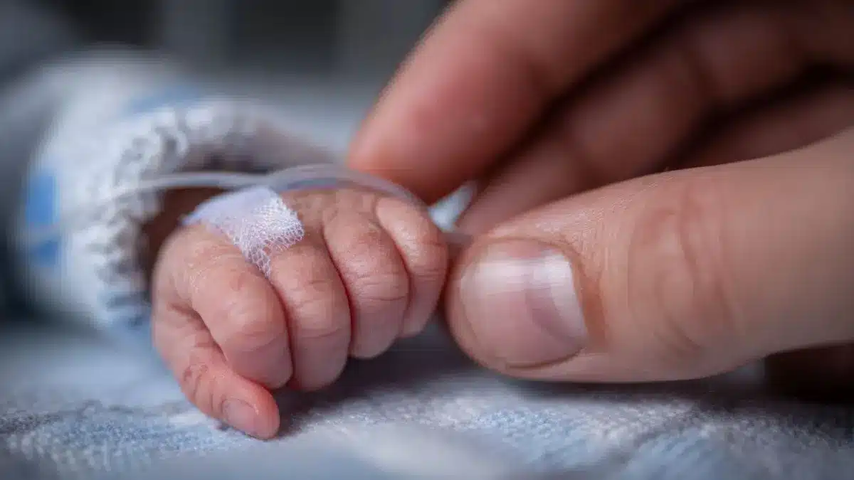 Nahaufnahme der Hand eines fruehgeborenen Babys mit Infusionsschlauch, die von einem Erwachsenen sanft beruehrt wird, als Symbol fuer eine Vierlingsgeburt am Klinikum Chemnitz