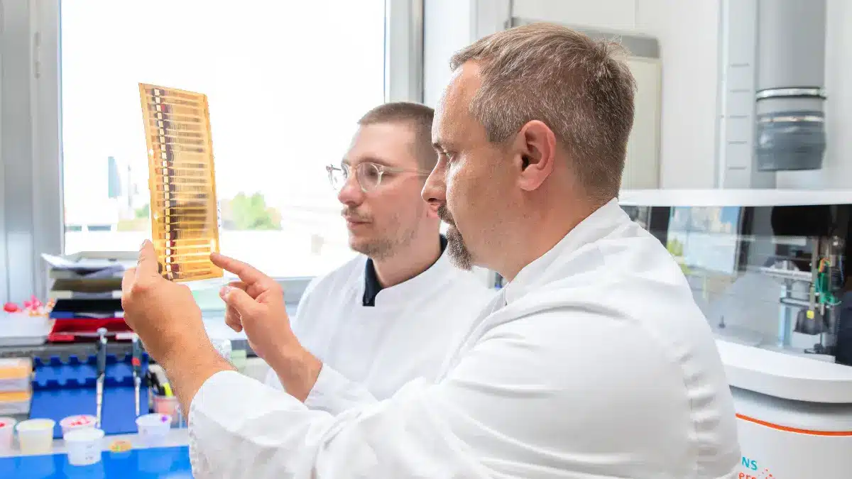 Neurologen der MHH betrachten eine Probe
