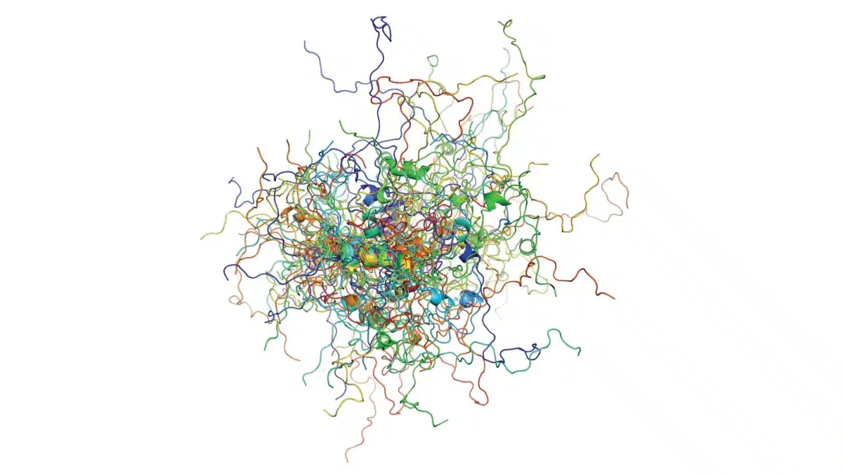 Farbcodiertes 3D-Strukturmodell des p53-Proteins mit zahlreichen ueberlagernden Konformationen als Darstellung seiner dynamischen Struktur
