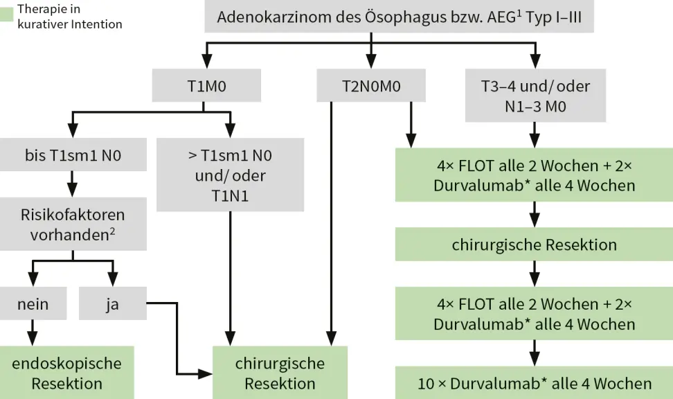 Flussdiagramm zur Therapie in kurativer Intention bei Adenokarzinomen des Oesophagus und gastrooesophagealen Uebergangs mit Unterscheidung nach Tumorstadium und FLOT-Durvalumab-Schemata