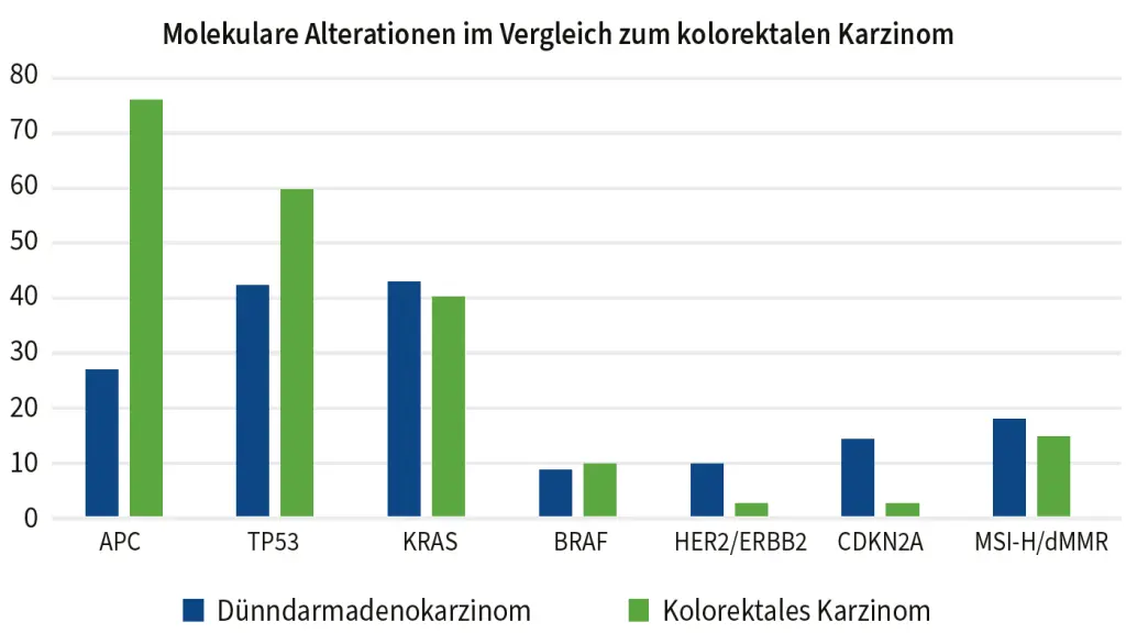 Balkendiagramm vergleicht Haeufigkeit molekularer Alterationen wie APC, TP53, KRAS, BRAF, HER2 ERBB2, CDKN2A und MSI-H dMMR beim Duenndarmadenokarzinom und kolorektalen Karzinom