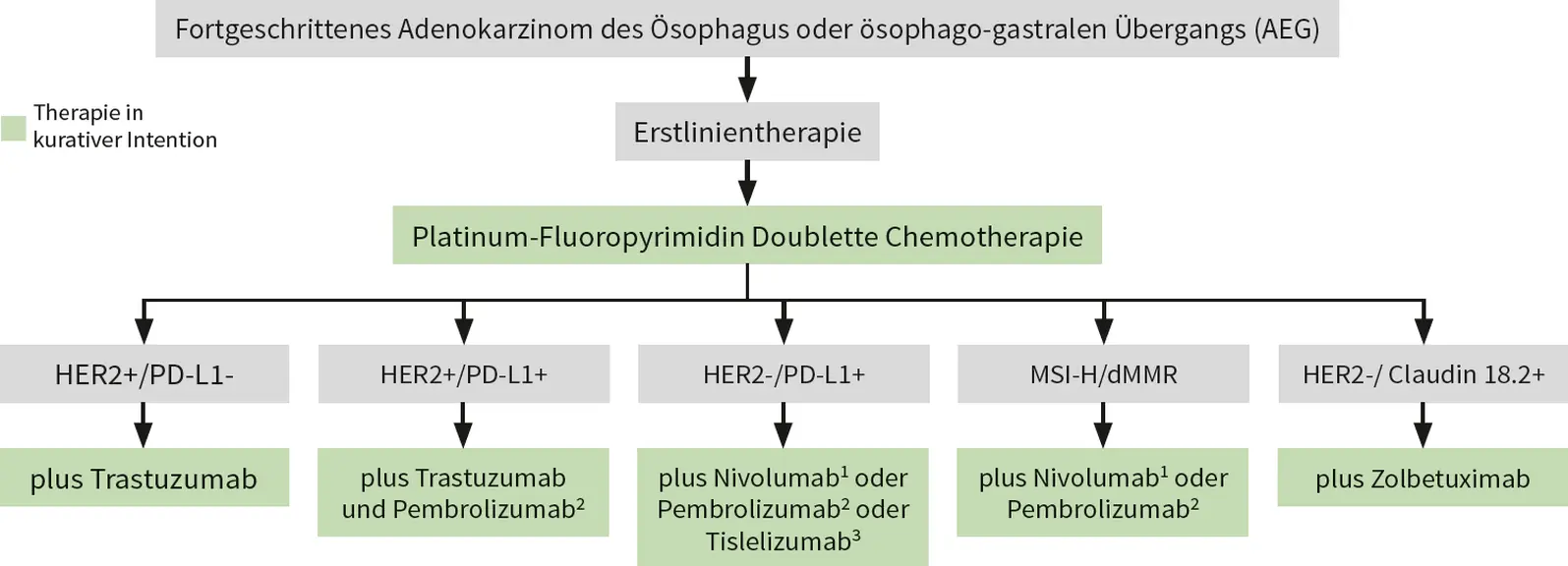 Therapiealgorithmus fuer die Erstlinientherapie beim fortgeschrittenen Adenokarzinom des Oesophagus oder gastrooesophagealen Uebergangs mit Platinum-Fluoropyrimidin-Chemotherapie und zielgerichteten sowie immunonkologischen Substanzen