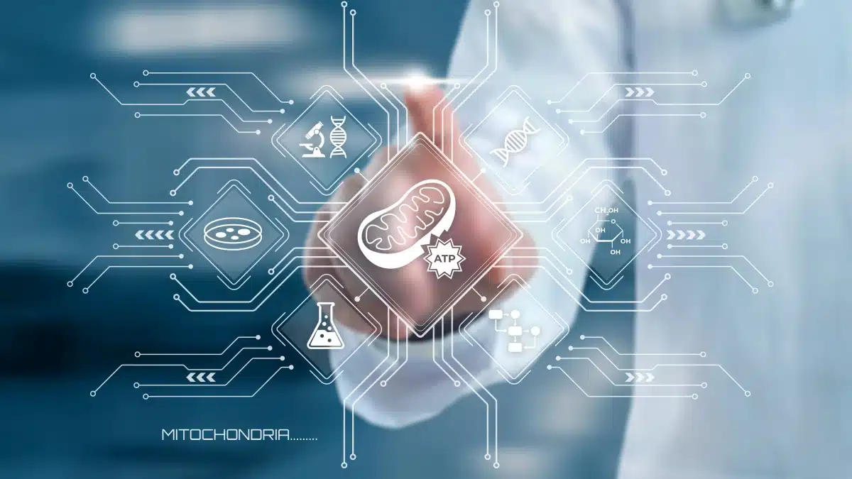 Wissenschaftler berührt in einer Laborumgebung eine futuristische digitale Schnittstelle, die wissenschaftliche Symbole im Zusammenhang mit Mitochondrien und der zellulären Energieproduktion anzeigt.