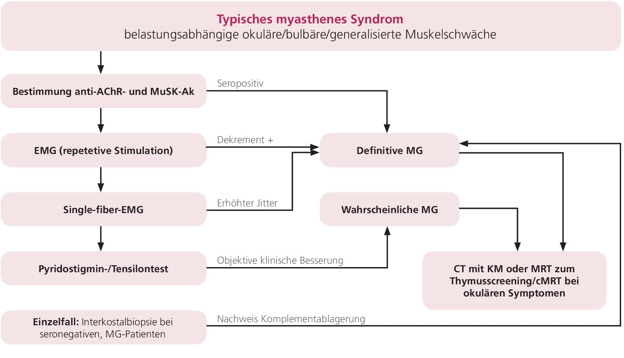 Abb. 2: Diagnostischer Algorithmus bei Myasthenia gravis,; mod. nach [40].