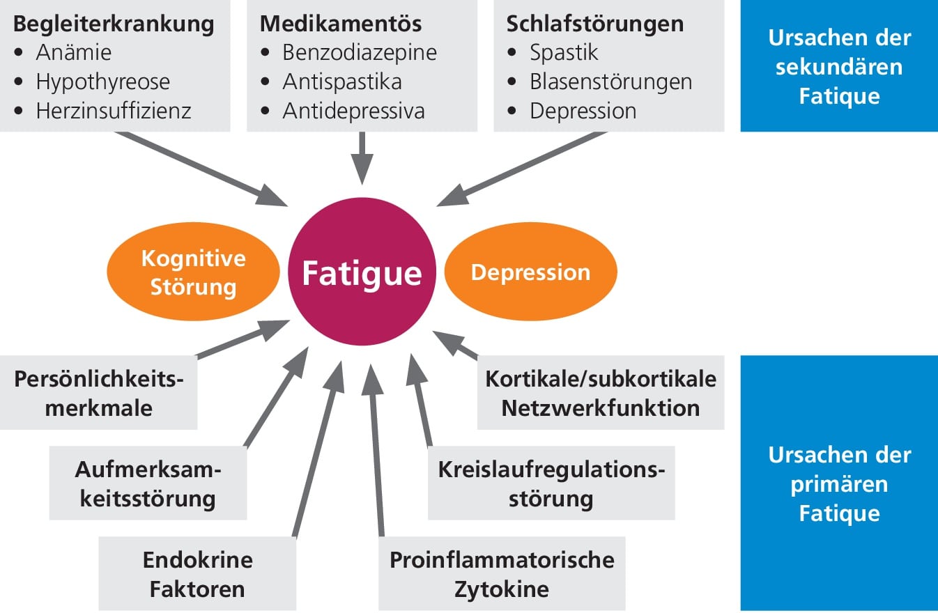 Abb. 1: Schematische Darstellung der Pathomechanismen der Fatigue. Von der Fatigue im engeren Sinn („primäre Fatigue“) müssen sekundäre Ursachen sowie kognitive Störungen und Depressionen abgegrenzt werden (Einzelheiten im Text); mod. nach [13].
